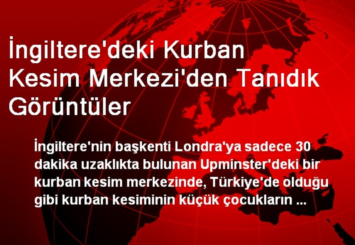 İngiltere\'deki Kurban Kesim Merkezi\'den Tanıdık Görüntüler
