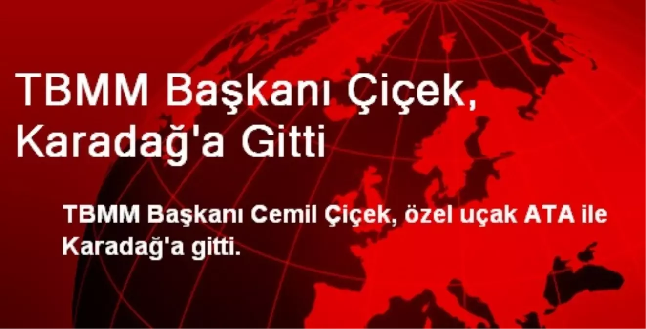 TBMM Başkanı Çiçek, Karadağ\'a Gitti