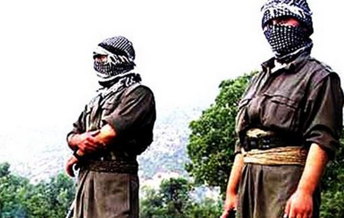 Şırnak\'ta 2 Terörist Teslim Oldu