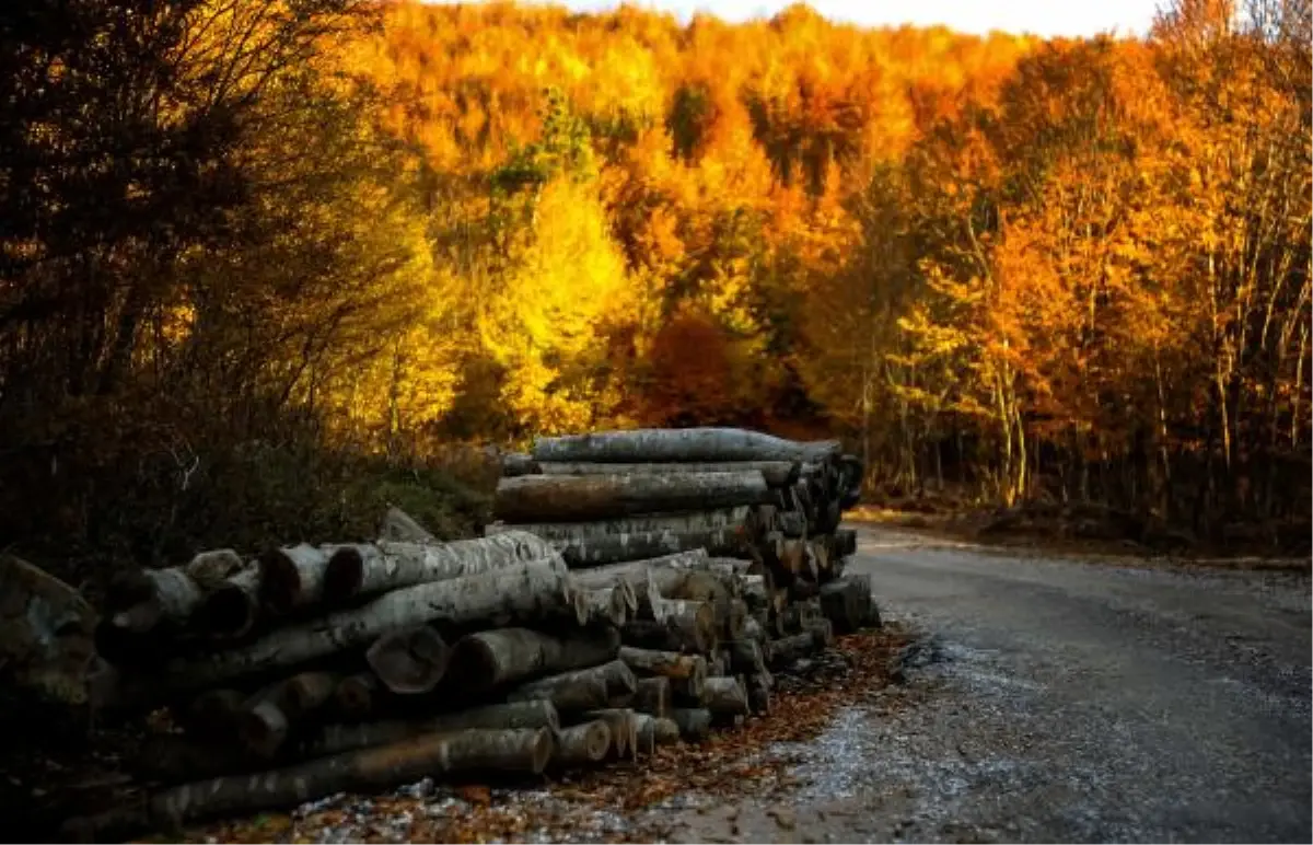 Teşvikiye Beldesi, Doğa Tutkunlarının Akınına Uğruyor