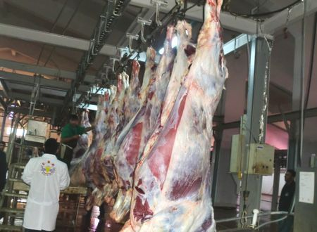 Türk Kızılayı Bartın Şubesi\'ne 85 Kişi Kurban Bağışı Yaptı