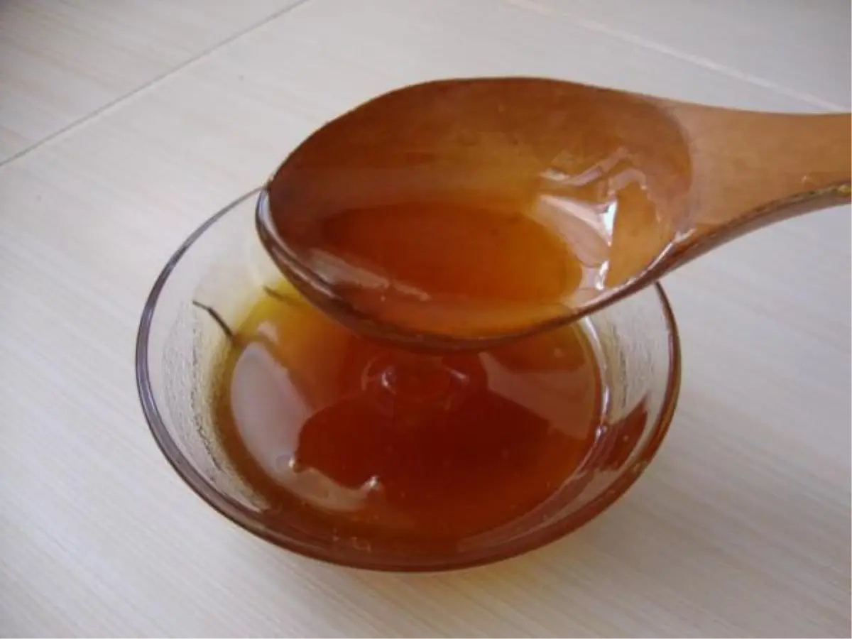 Çam Balı Üretimi Altın Yılını Yaşıyor