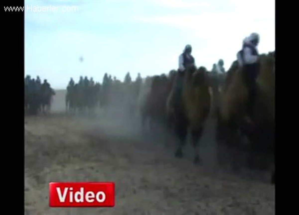 Çin, Deve Yarışı ile Rekorlar Kitabına Girdi