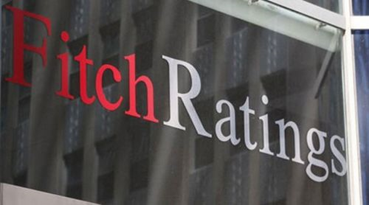 Fitch Açıklaması