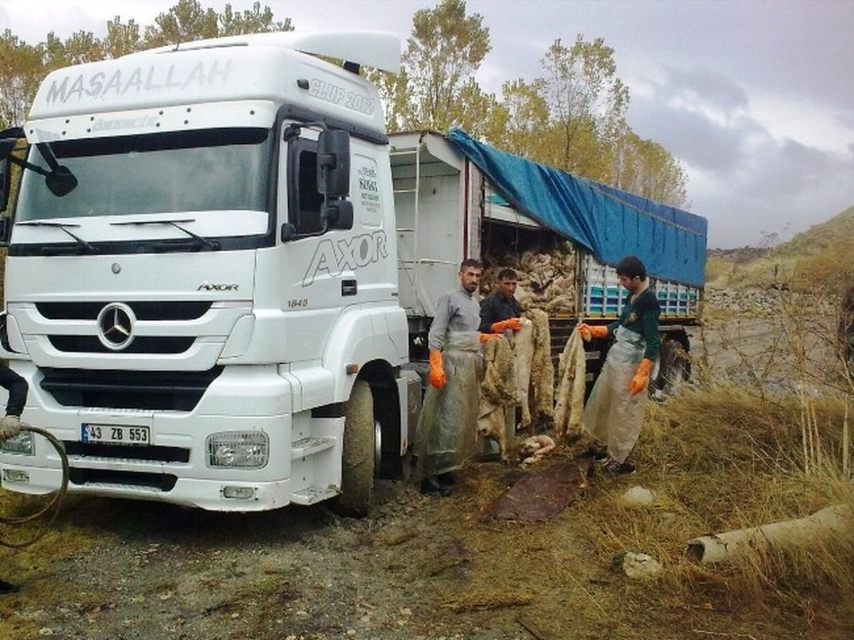 Hisarcık\'ta THK Şubesinin Deri Geliri Yarı Yarıya Düştü