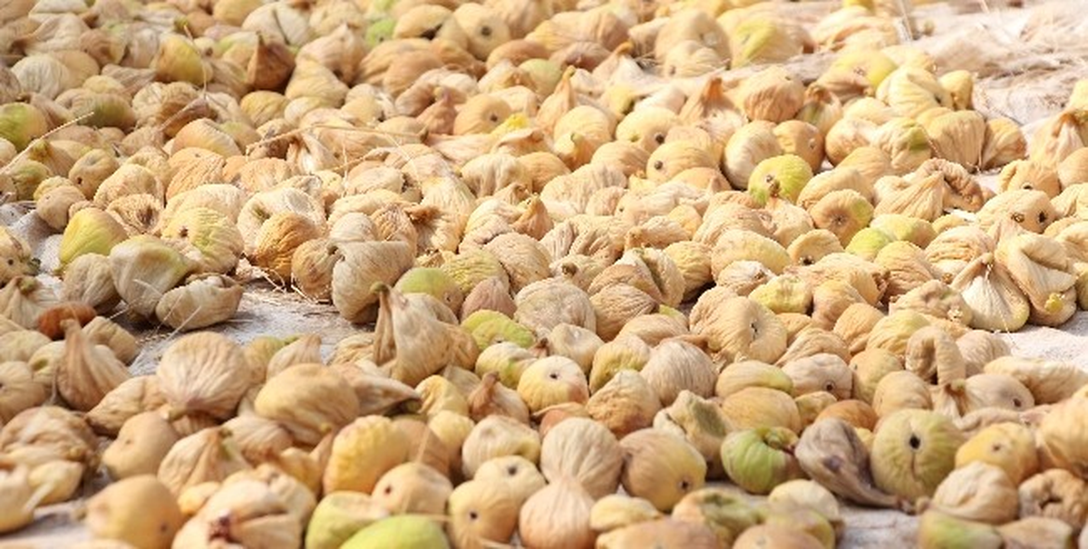İhracat Arttı, Üreticinin Beklentisi Yükseldi