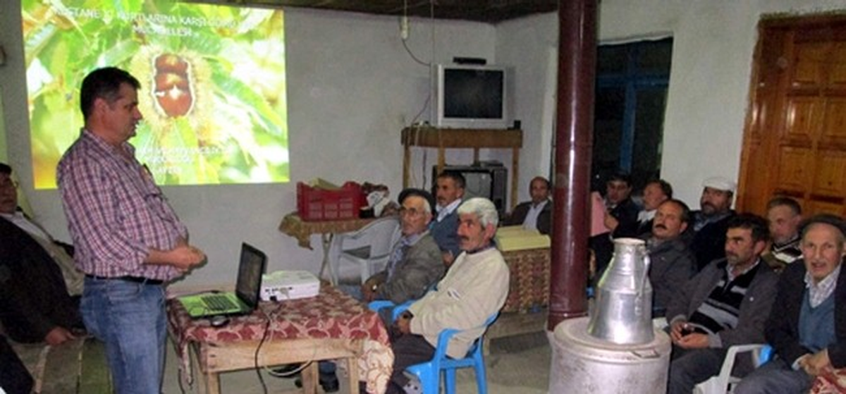 Kestane Üreticisine Kestane İç Kutları İçin Ücretsiz İlaç Dağıtıldı