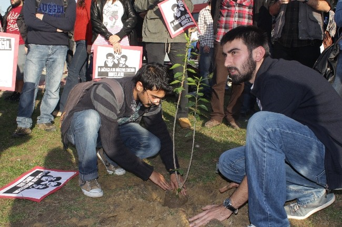 Kocaeli Üniversitesi Öğrencileri ODTÜ İçin Fidan Dikti