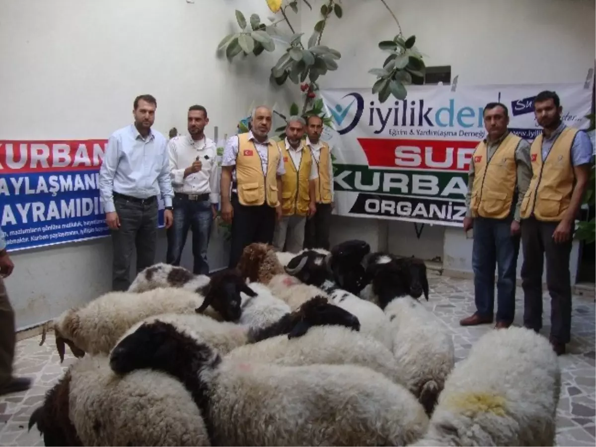 Malatya\'dan Suriye\'de Kurban Organizasyonu