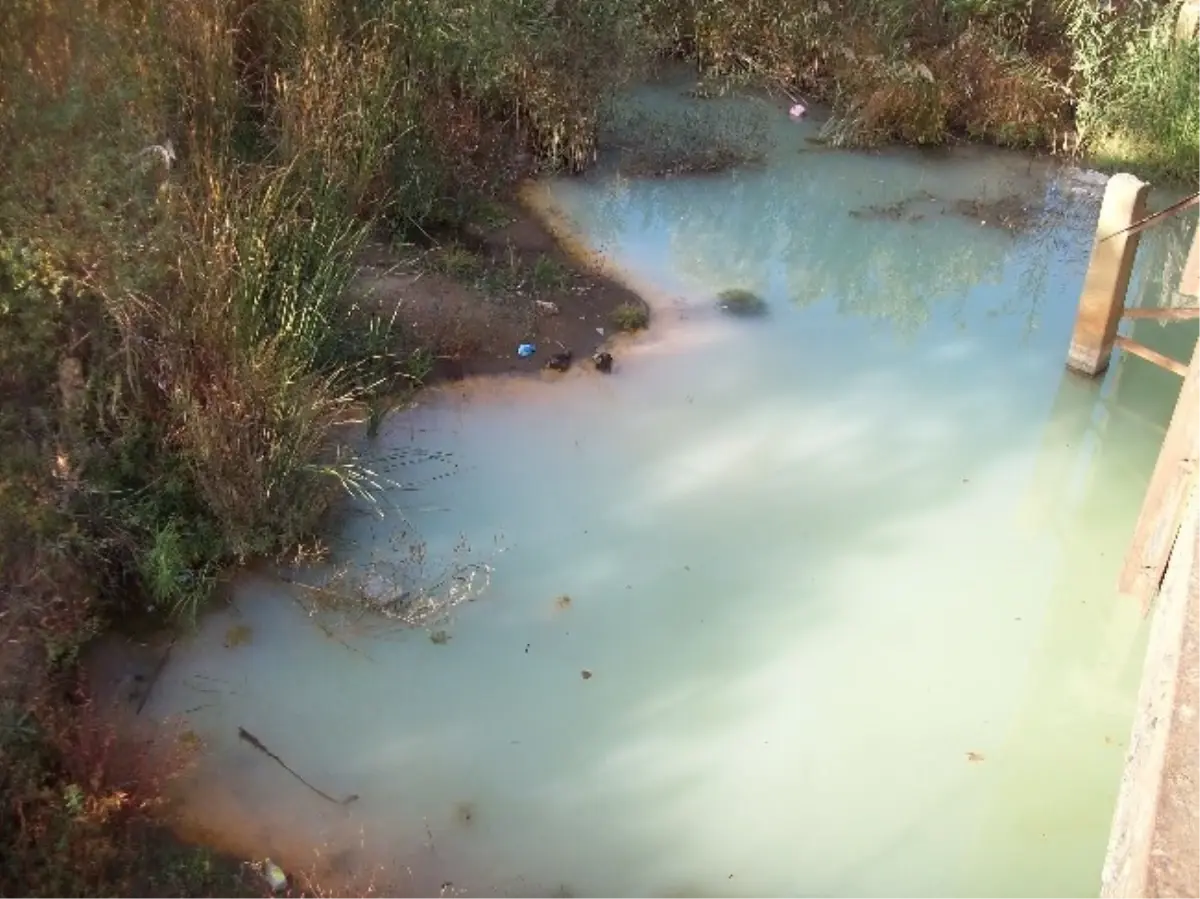 Mavi Renkte Akan Dere Köylüleri Korkuttu