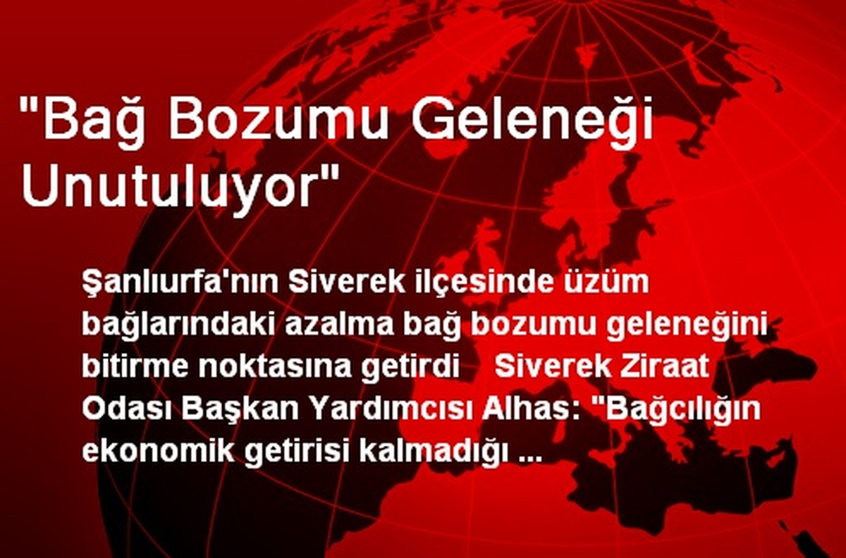 "Bağ Bozumu Geleneği Unutuluyor"