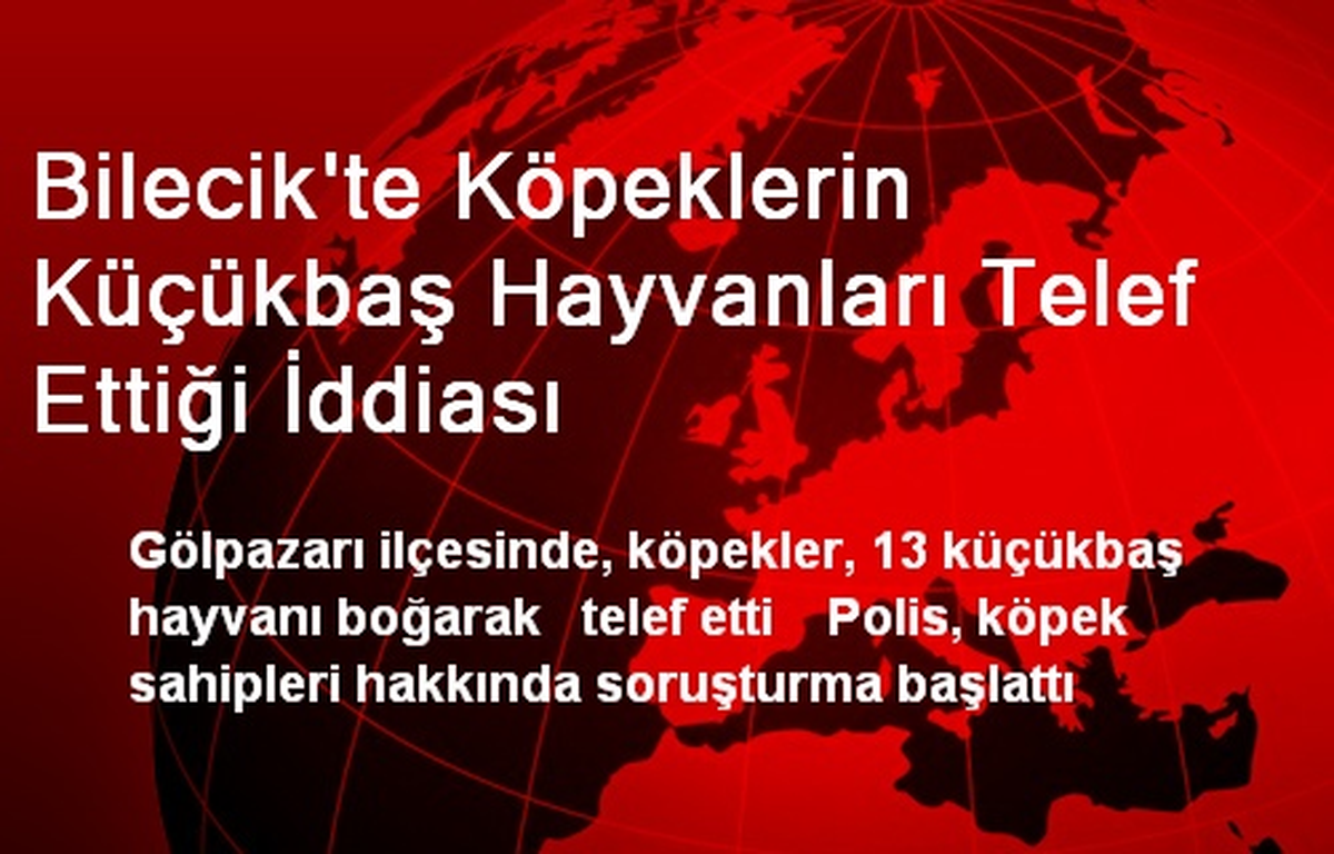 Bilecik\'te Köpeklerin Küçükbaş Hayvanları Telef Ettiği İddiası