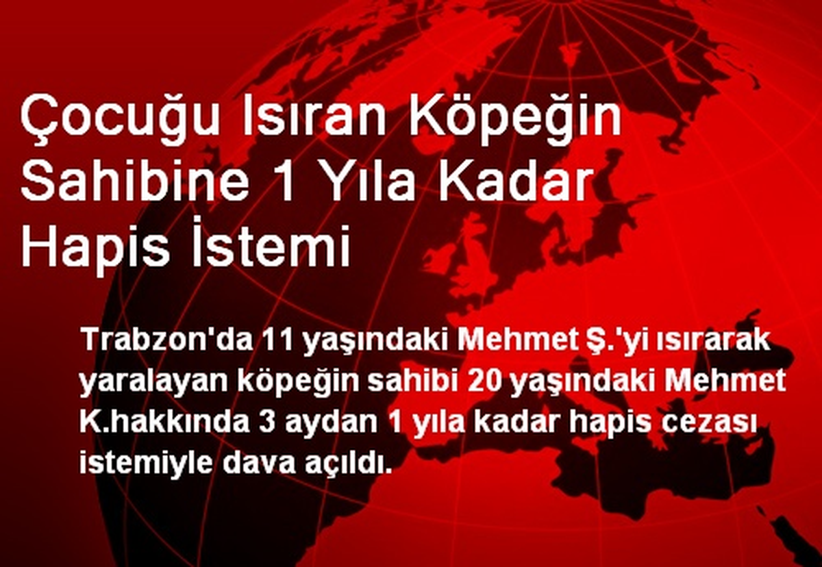 Çocuğu Isıran Köpeğin Sahibine 1 Yıla Kadar Hapis İstemi