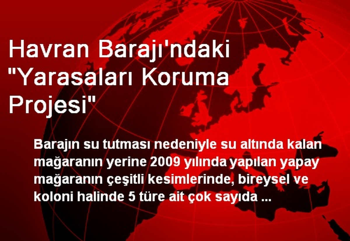 Havran Barajı\'ndaki "Yarasaları Koruma Projesi"