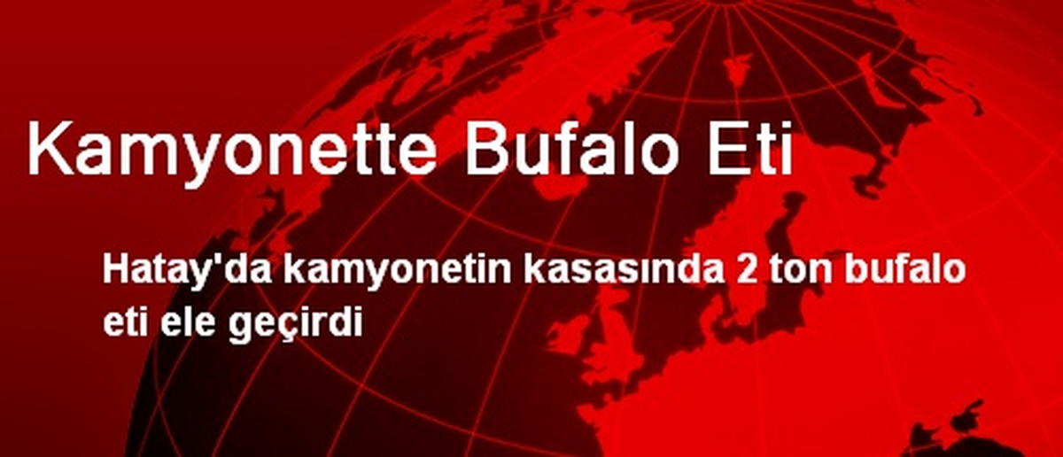 Kamyonette Bufalo Eti