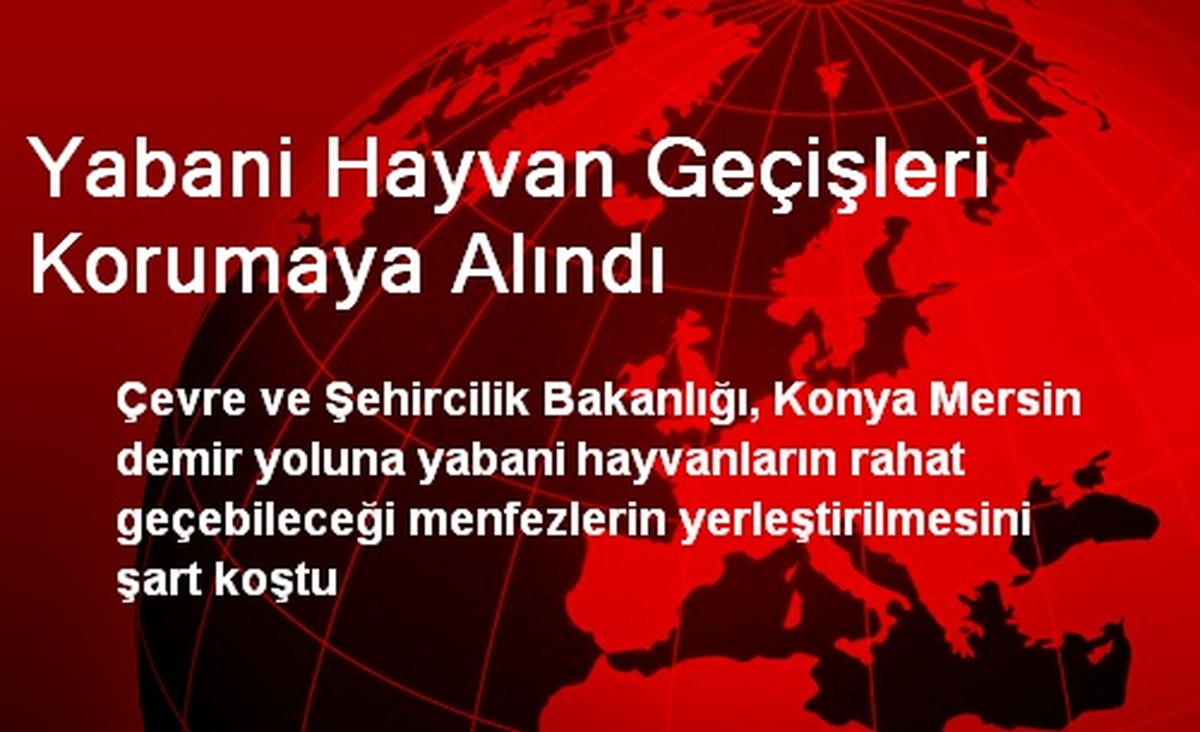 Yabani Hayvan Geçişleri Korumaya Alındı
