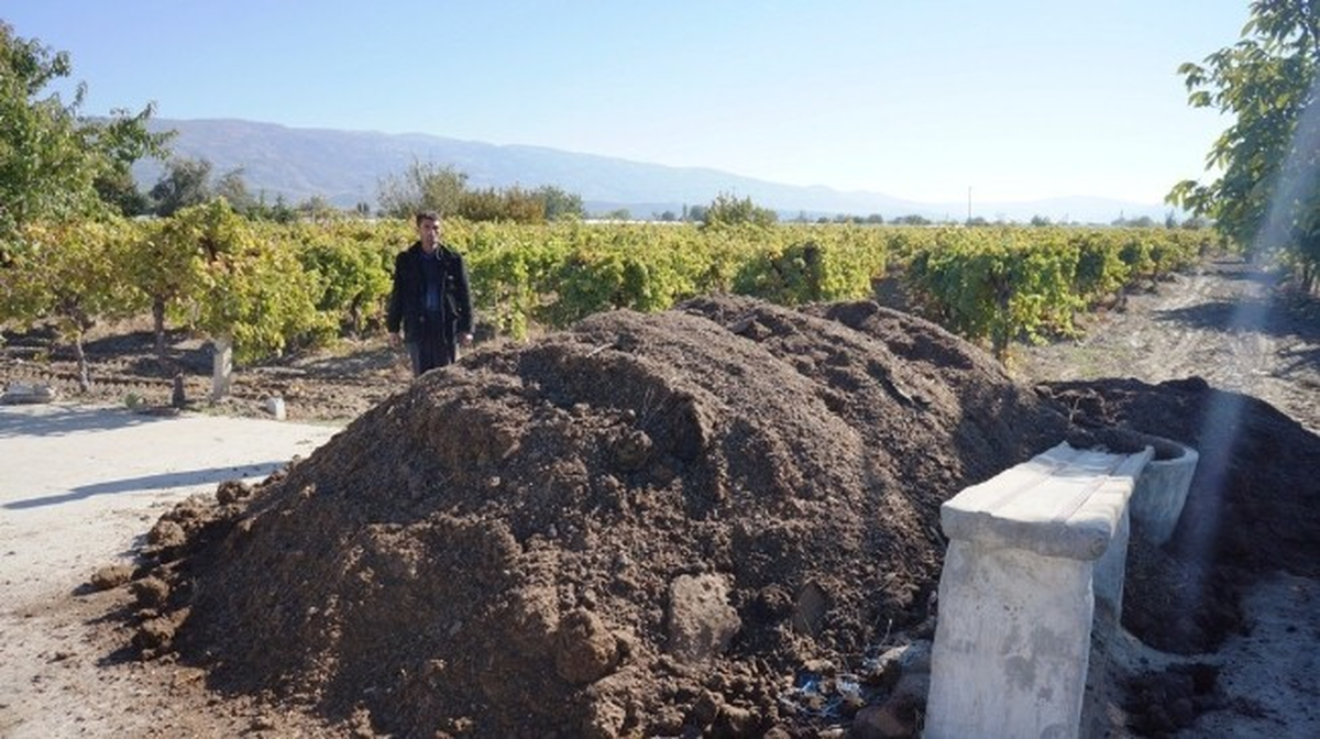 Sarıgöl\'de Üzüm Bağlarına Doğal Gübre Dopingi