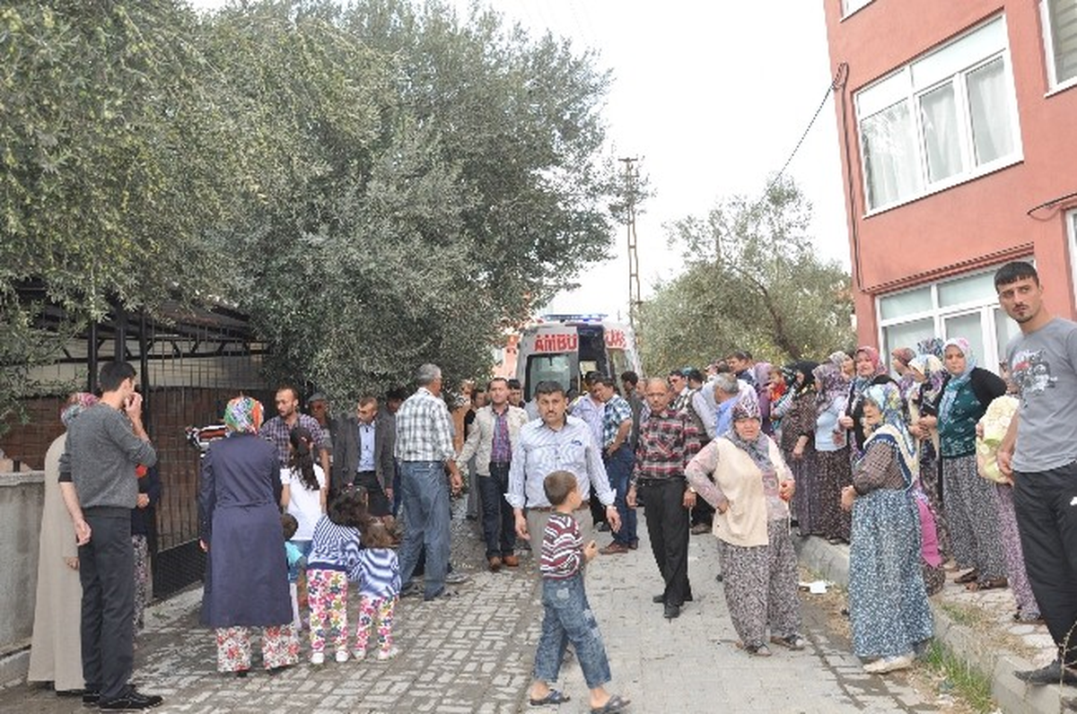 Zeytin Toplarken Ağaçtan Düşüp Öldü