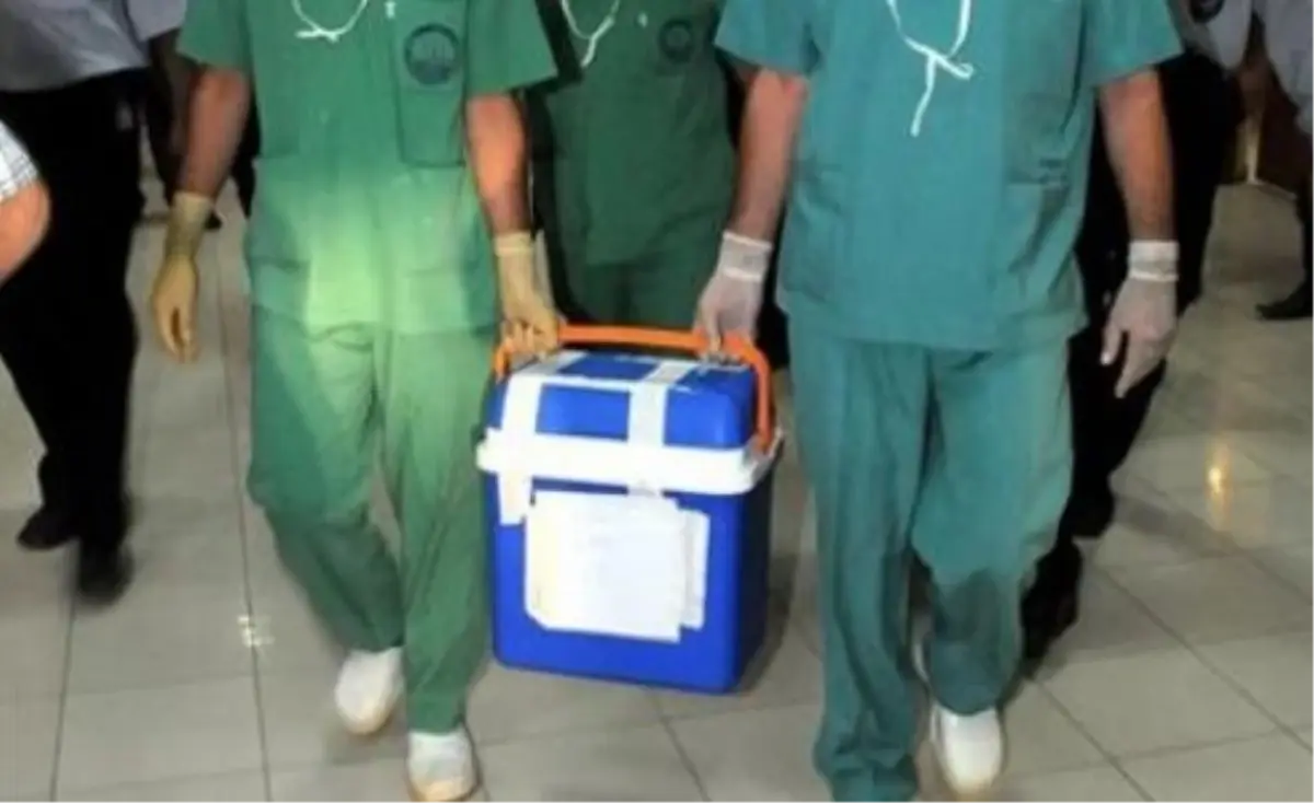 Ağaçtan Düşerek Yaşamını Yitiren Çocuğun Organları Bağışlandı