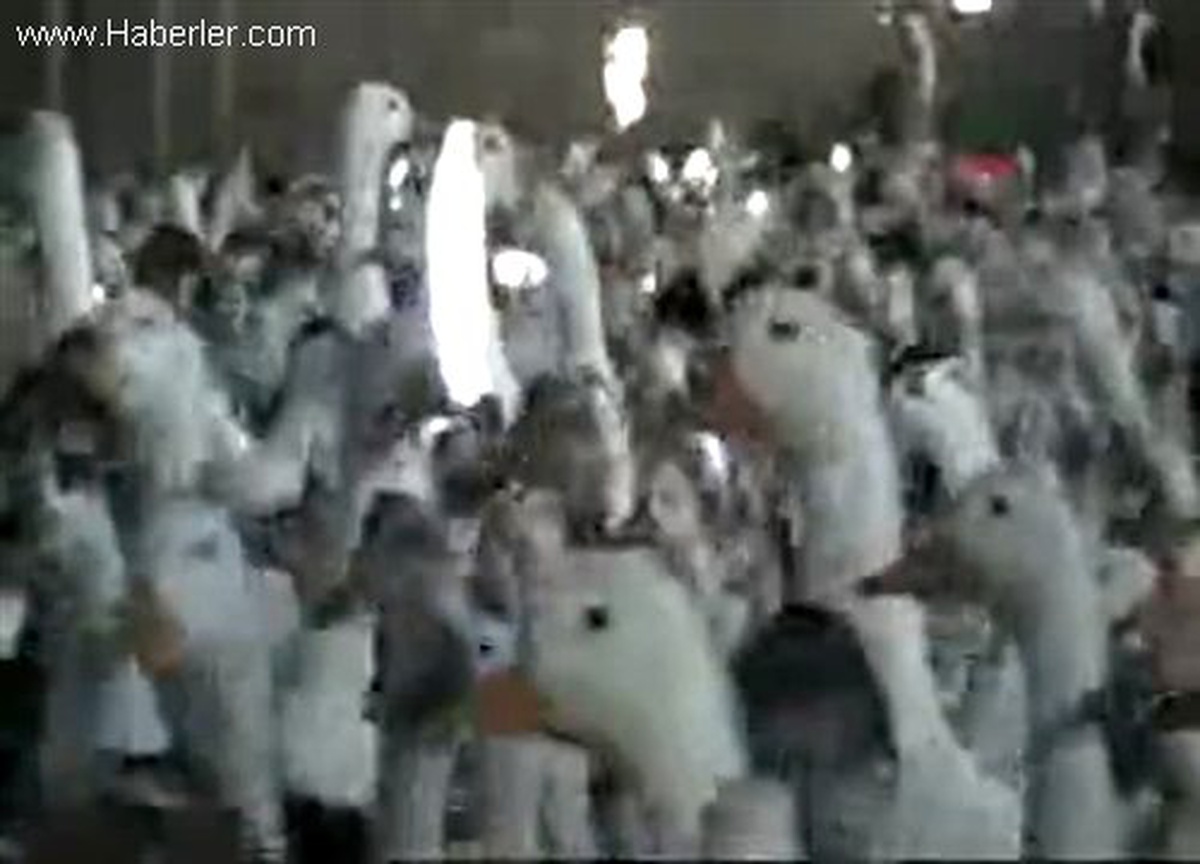 Ağrı Dağı Yamaçlarında Pekin Ördeği Yetiştiriyor