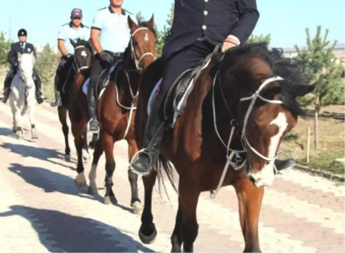 Atlı polis birliği kuruldu