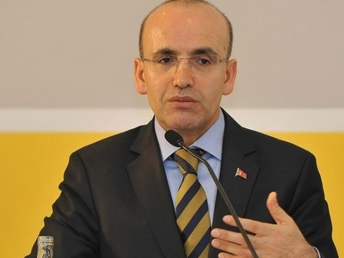 Bakan Şimşek, 2014 Yılı Bütçesi Plan ve Bütçe Komisyonu\'nda (16)