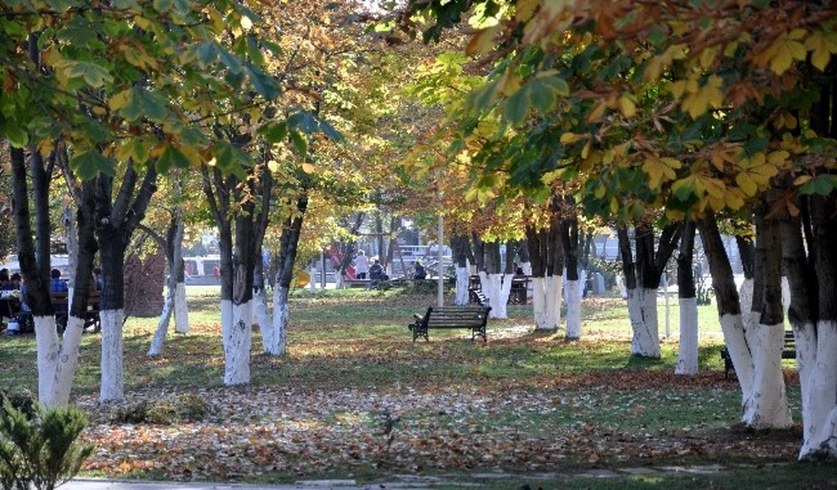 Bolu\'da Parklar Renk Cümbüşüne Döndü