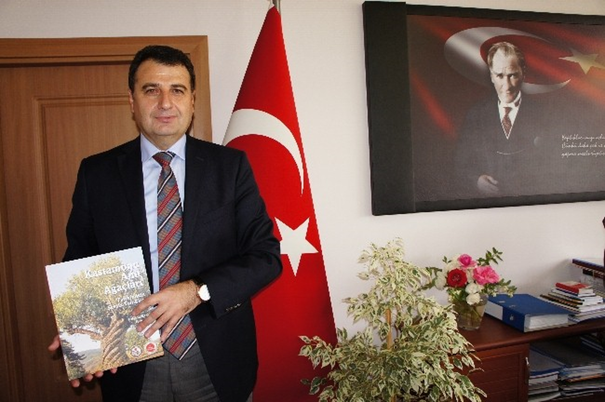 İlk Kez Kastamonu\'nun Anıt Ağaçları İncelendi