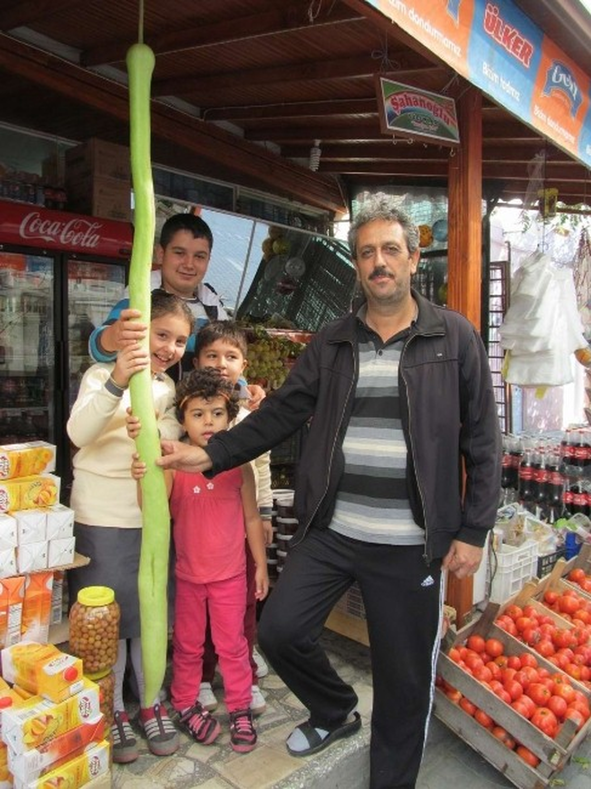 Kobra Gibi Kabak