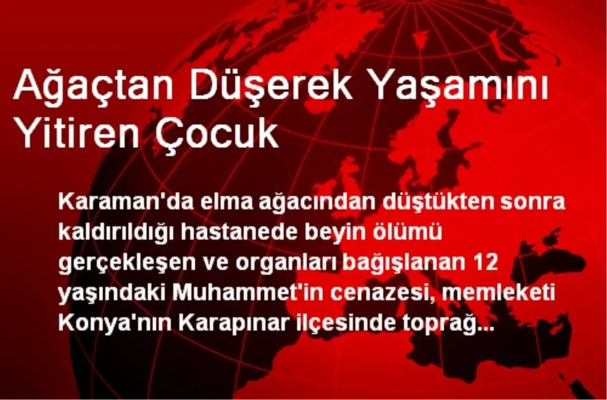 Ağaçtan Düşerek Yaşamını Yitiren Çocuk