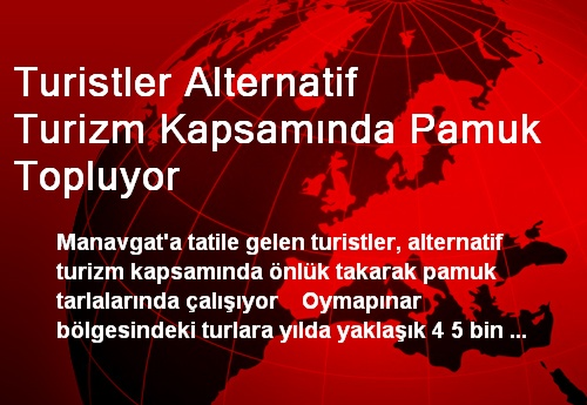 Turistler Alternatif Turizm Kapsamında Pamuk Topluyor