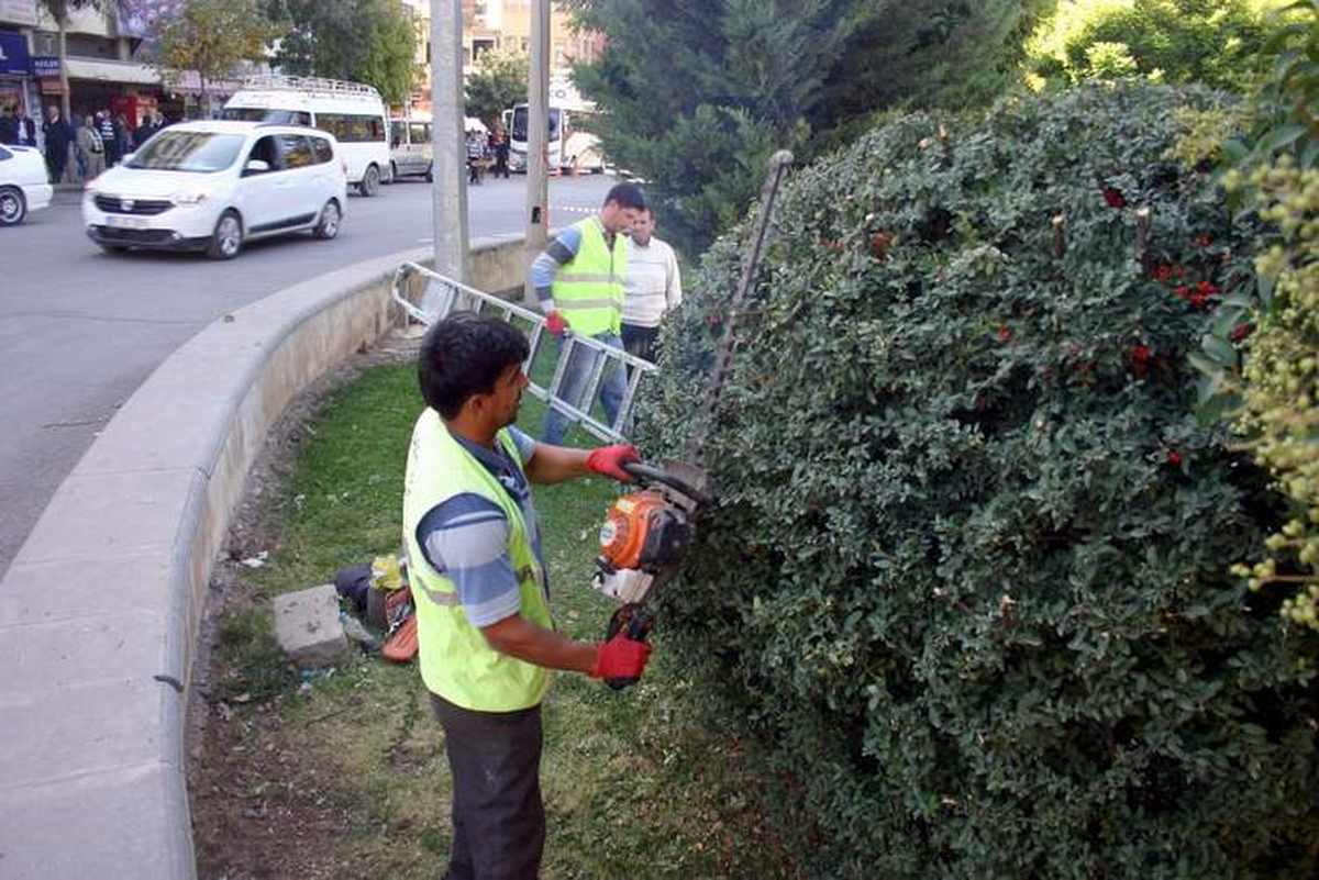 Parklarda Güz Dönemi Çalışmaları Başladı