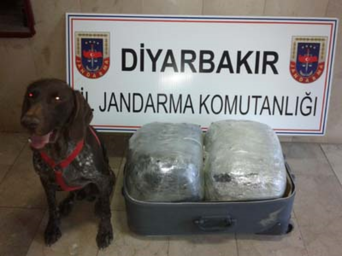 Valizle Esrar Sevkıyatı Jandarmaya Takıldı 
