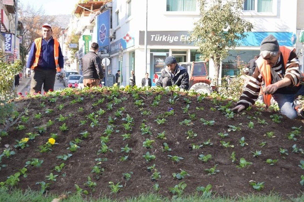 Afyonkarahisar\'da 220 Bin Çiçek Dikilecek