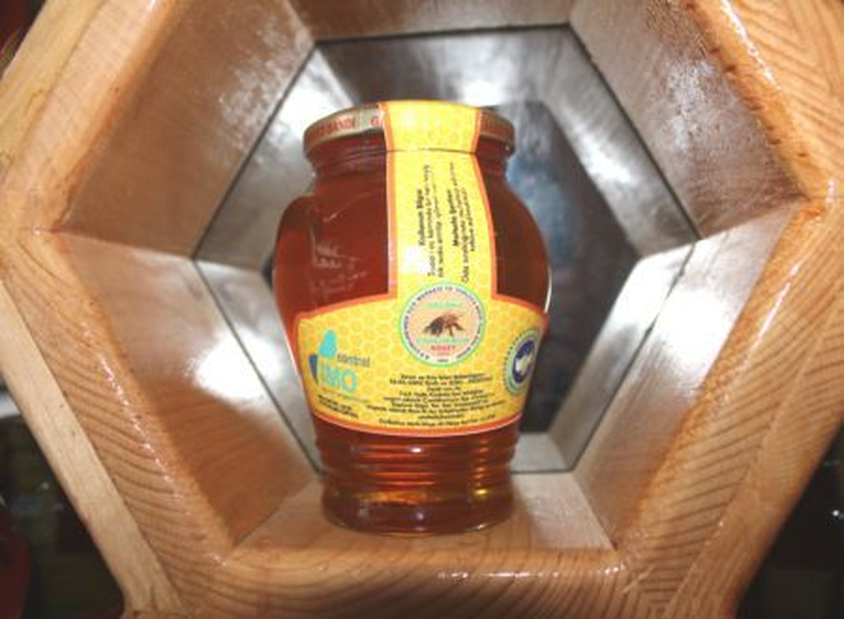 Kestane Balı 260, Çiçek Balı 620 TL\'den Satışa Sunuldu