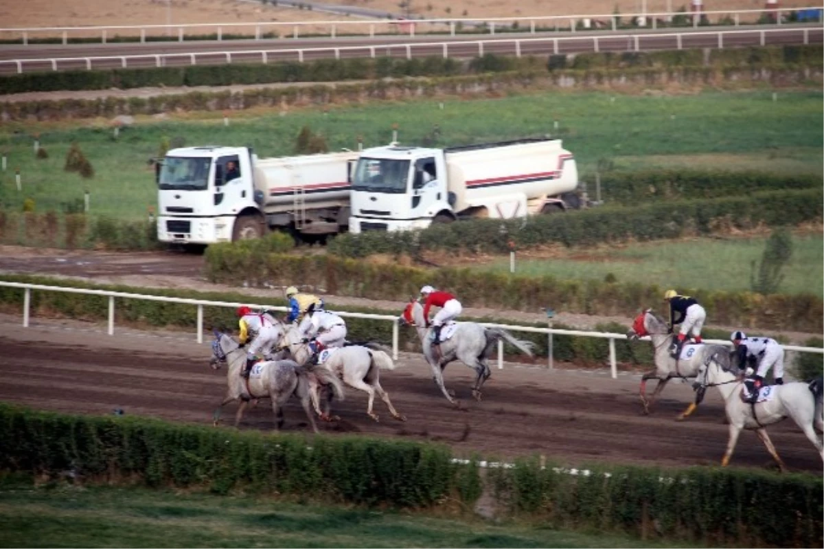 Diyarbakır\'da Valilik Kupası Yarışı Düzenlendi