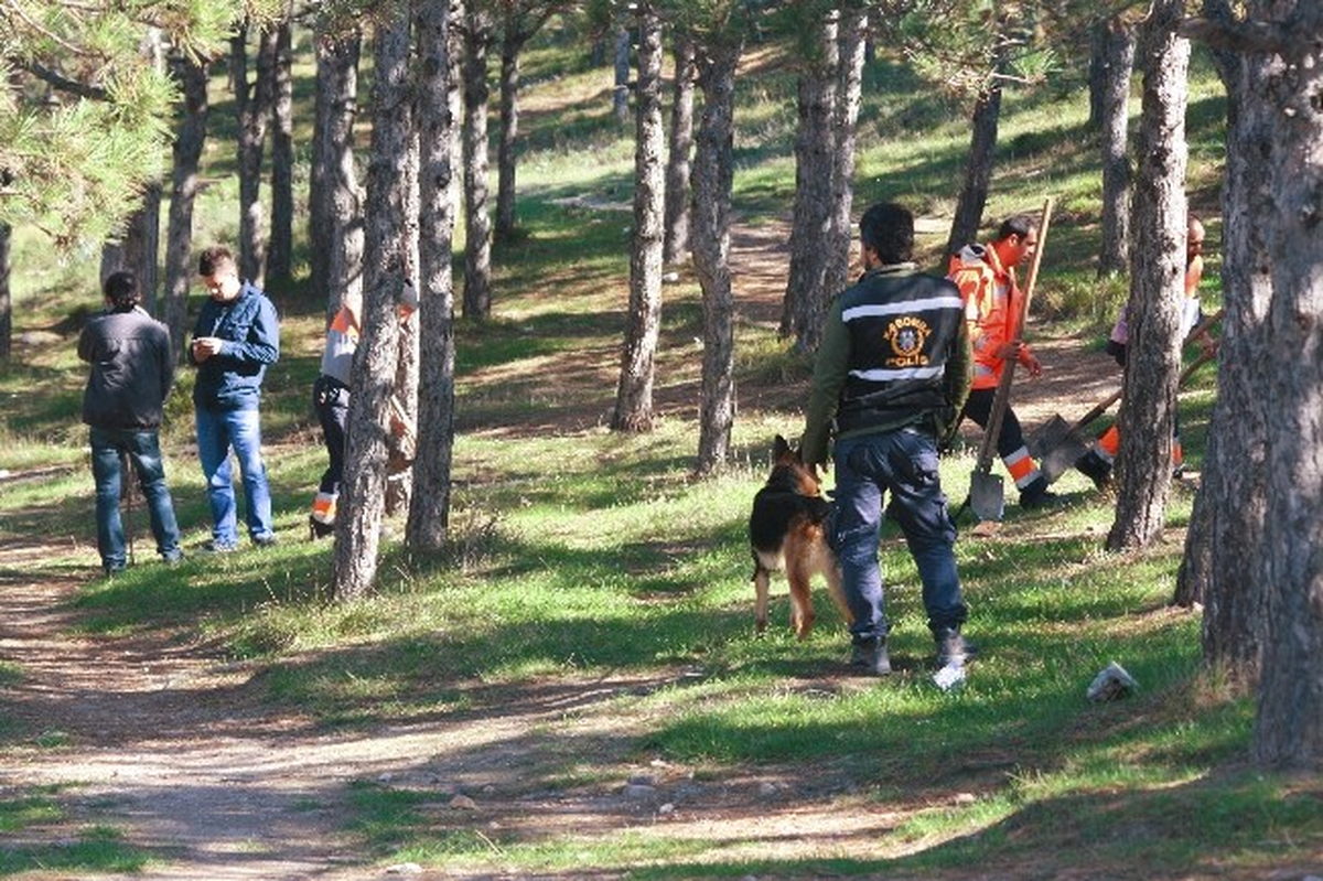 Gülsuyu\'ndaki Mühimmat Araması Devam Ediyor