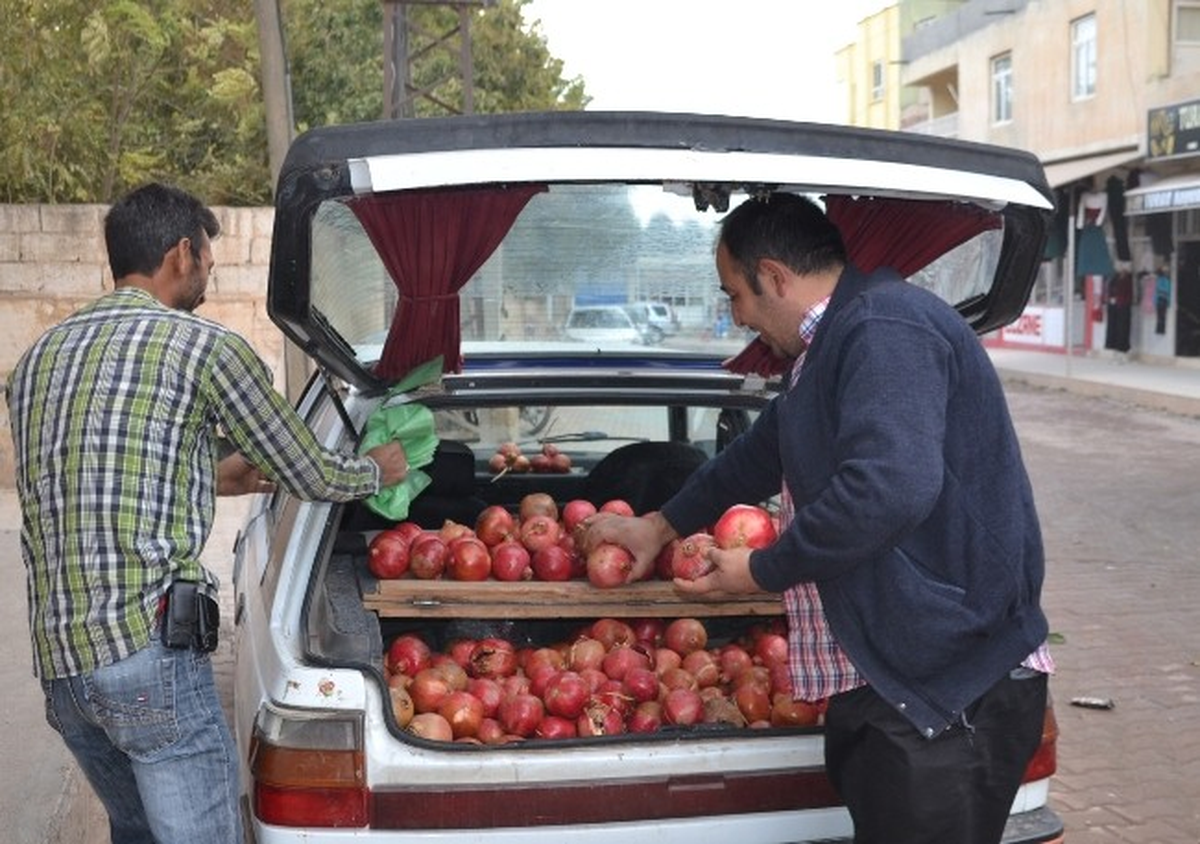 Hilvan Narı Görücüye Çıktı