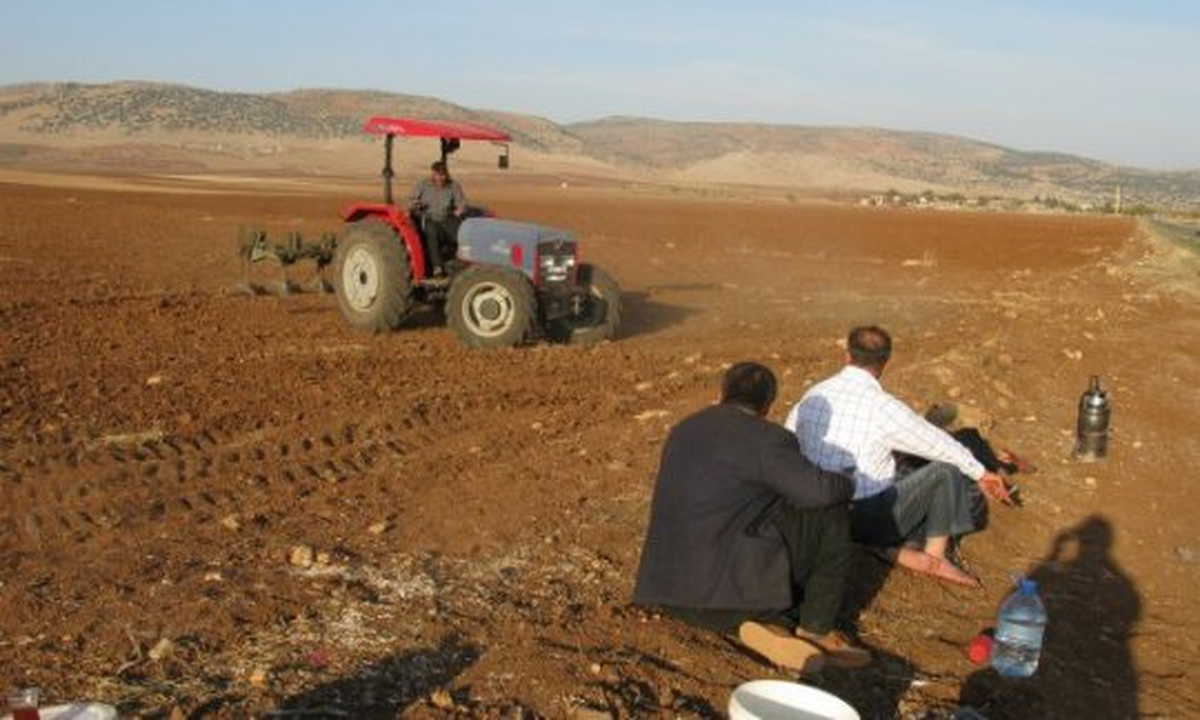 Kastamonu\'da Çiftciler Buğday Ekimine Başladı