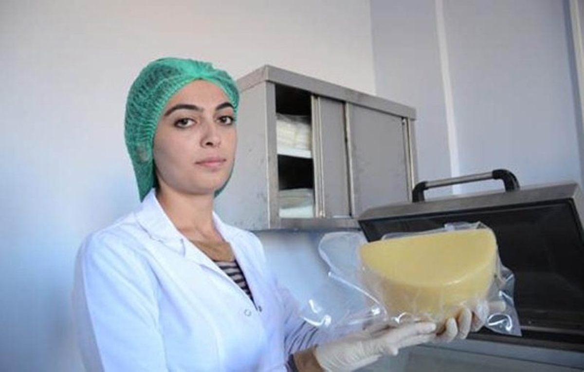 Kaü Kaşarın Patantini Almak İçin Türk Patent Enstitüsü\'ne Müracaat Etti