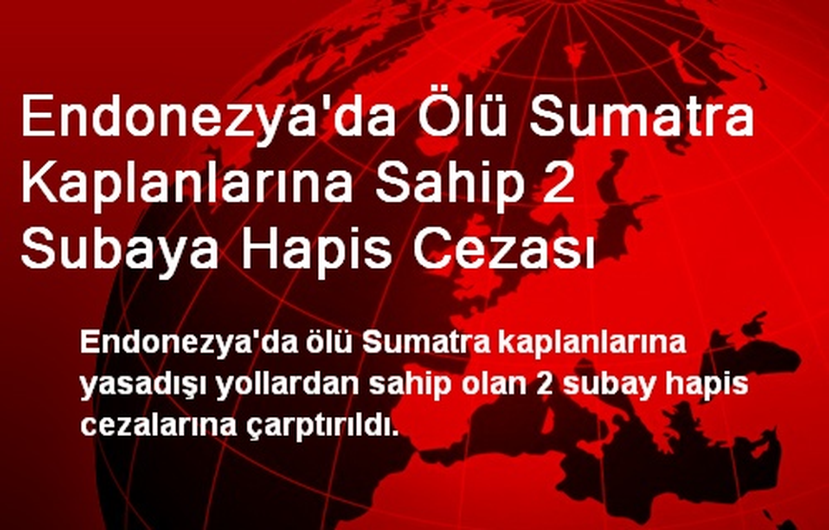 Endonezya\'da Ölü Sumatra Kaplanlarına Sahip 2 Subaya Hapis Cezası