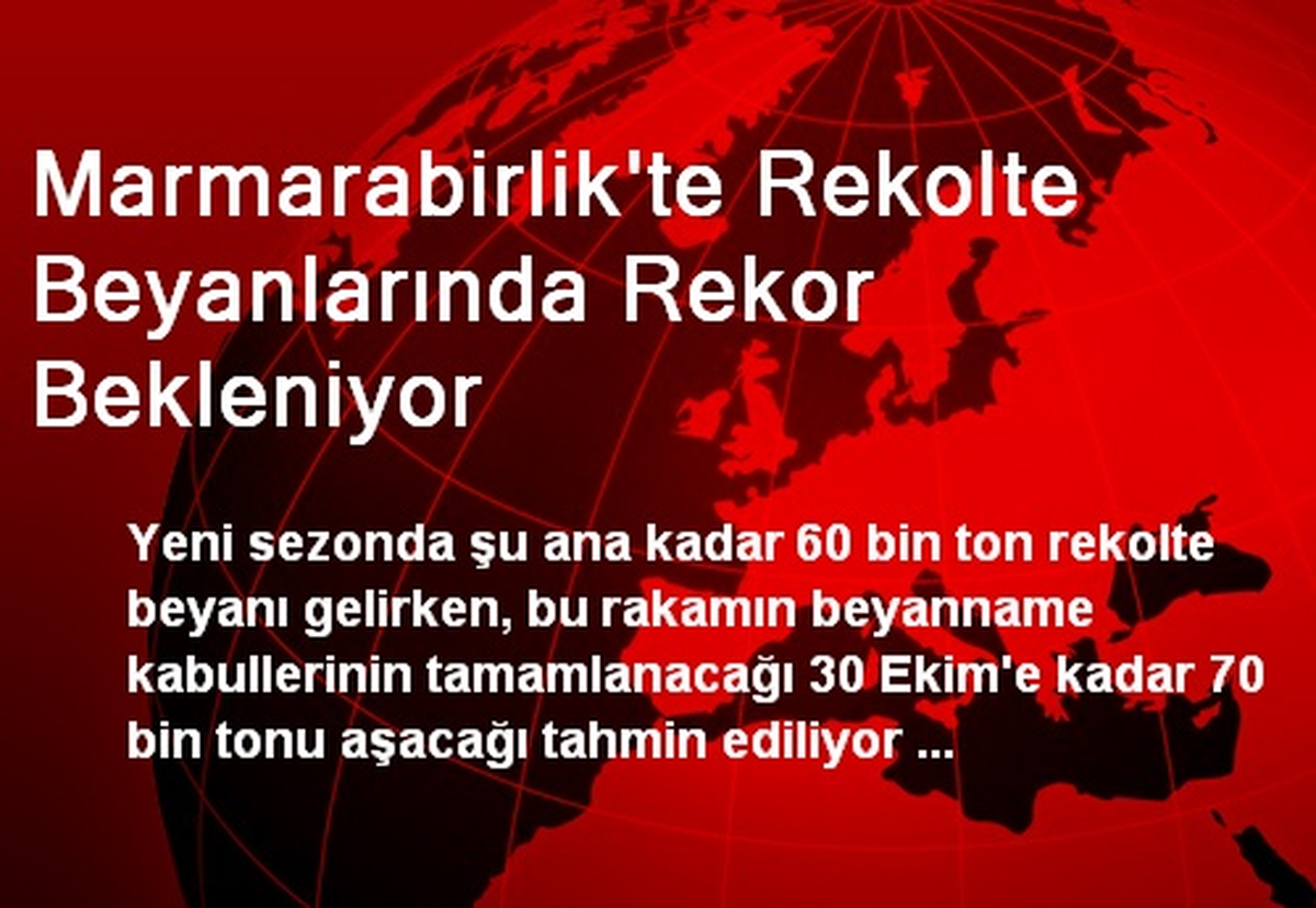 Marmarabirlik\'te Rekolte Beyanlarında Rekor Bekleniyor