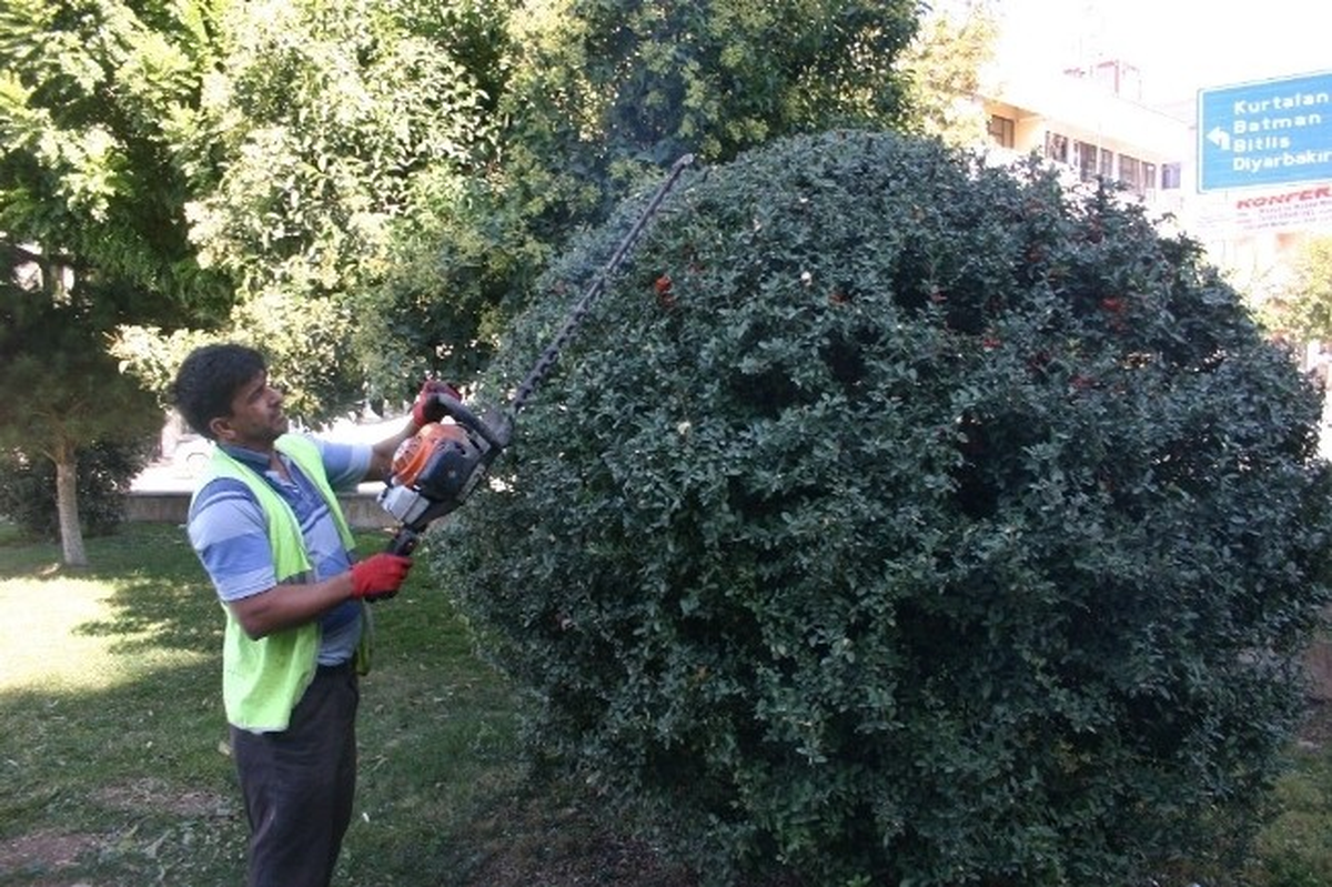 Parklarda Güz Dönemi Çalışmaları Başladı