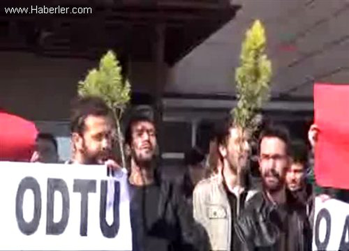 Samsun\'da ODTÜ\'ye Destek İçin Öğrenciler Fidan Dikti