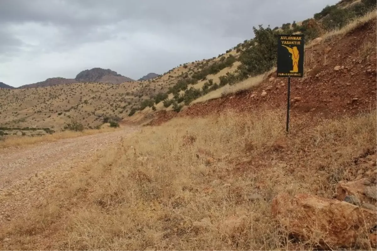 Şırnak\'ta Usulsüz Avcılık Yapanlara 44 Bin Lira Ceza Kesildi