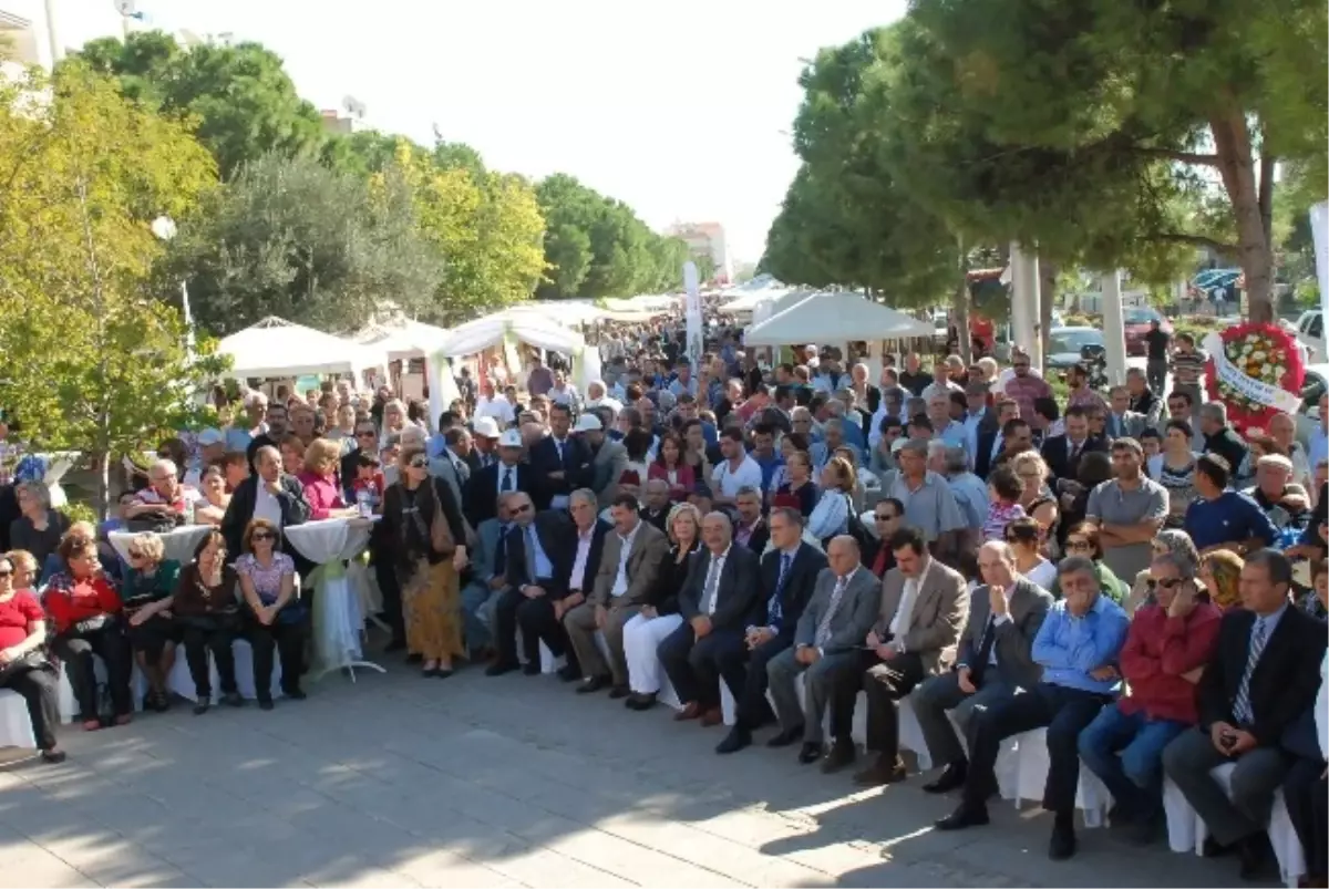 2. Uluslar Arası Didim Zeytin Festivali Başladı