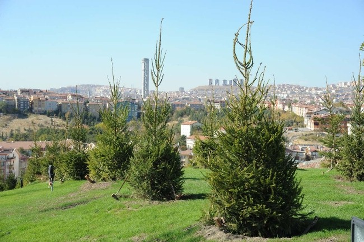 Altındağ\'a 3 Yeni Park Daha