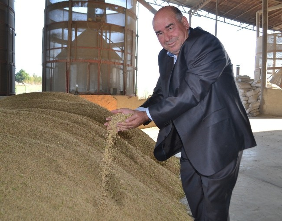 Çeltik Üreticileri Fiyat Bekliyor
