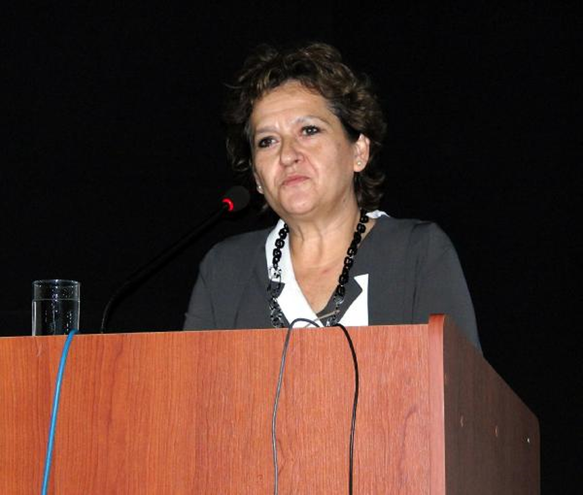 CHP\'li Güler: Anadilde Eğitimi Savunma CHP\'yi BDP\'lileştirir