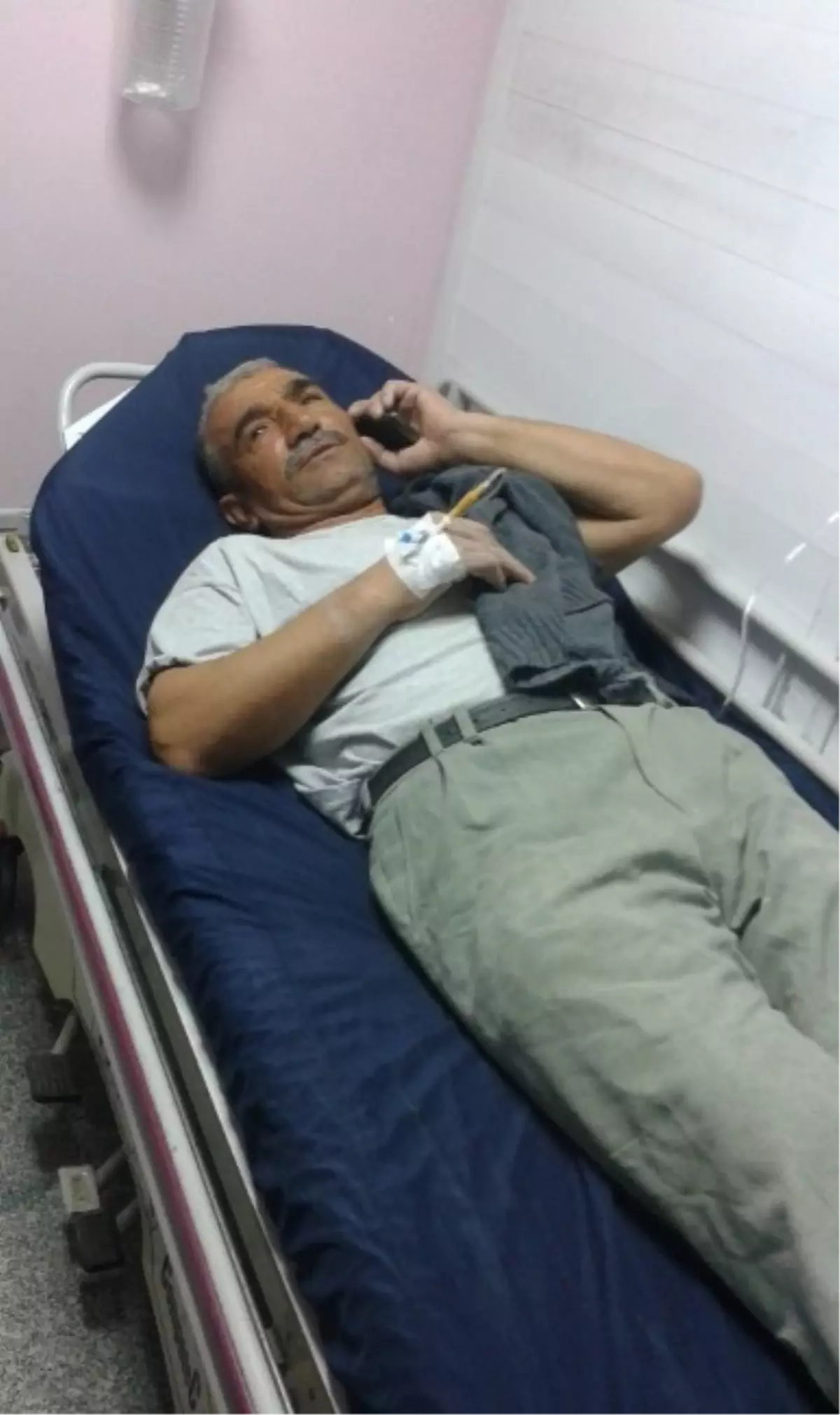 Evde Yatarken Akrep Soktu